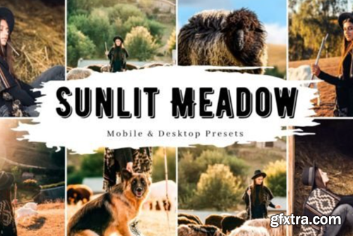 10 Sunlit Meadow Lightroom Presets