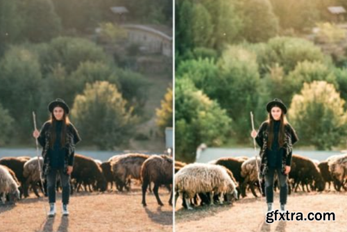 10 Sunlit Meadow Lightroom Presets