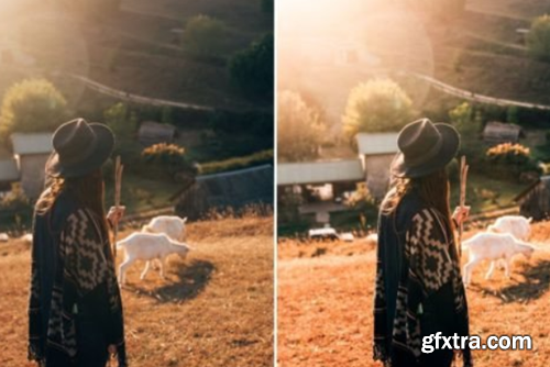 10 Sunlit Meadow Lightroom Presets