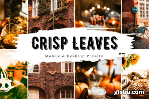 10 Crisp Leaves Lightroom Presets