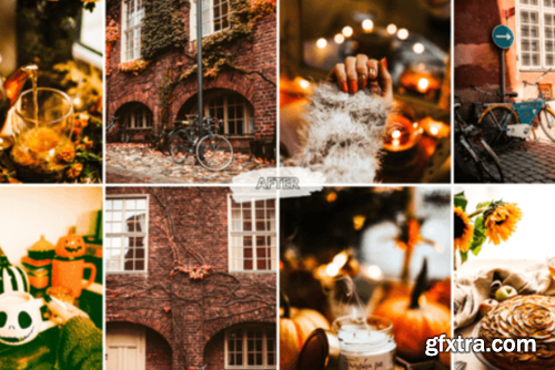 10 Crisp Leaves Lightroom Presets