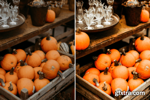 10 Crisp Leaves Lightroom Presets