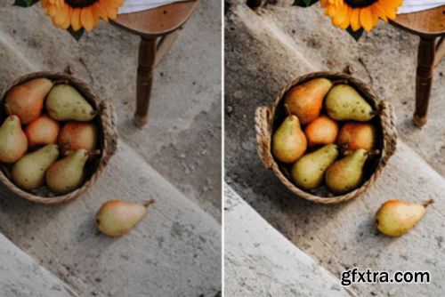 10 Crisp Leaves Lightroom Presets