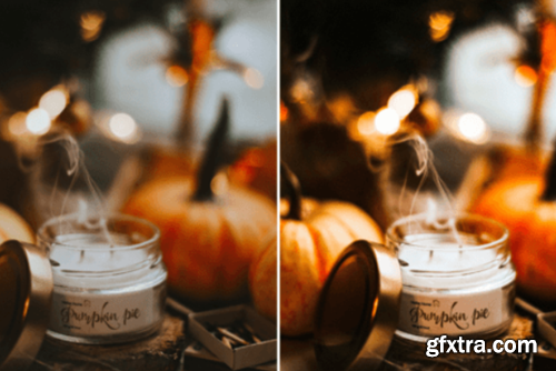 10 Crisp Leaves Lightroom Presets