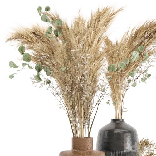 Dry plants 19 - Dried Plantset Pampas with Concrete vase