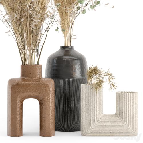 Dry plants 19 - Dried Plantset Pampas with Concrete vase