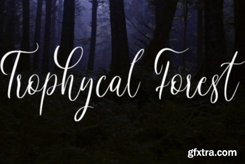 Starlight Cascade Font