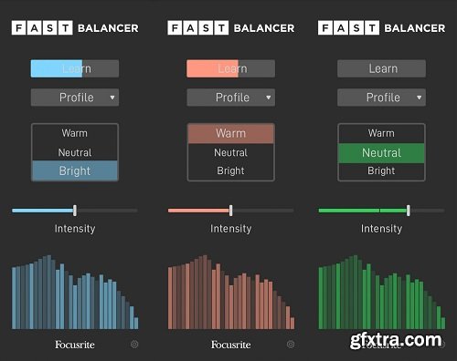 Focusrite FAST Balancer v1.0.1