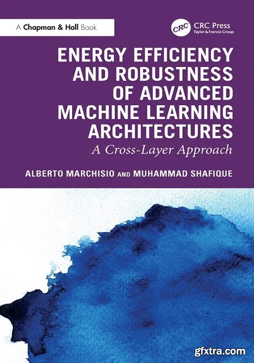 Energy Efficiency and Robustness of Advanced Machine Learning Architectures: A Cross-Layer Approach