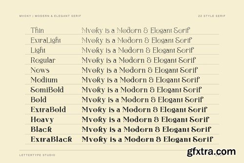 Mvoky Modern & Elegant Serif Family L8NYSA3