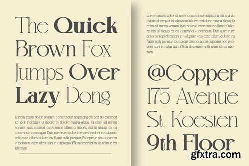 Mvoky Modern & Elegant Serif Family L8NYSA3