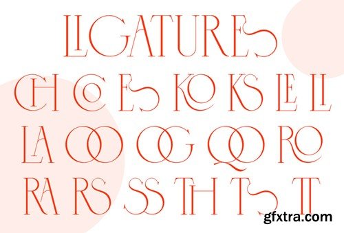 Cospiog - Modern Serif Type QT3QANT