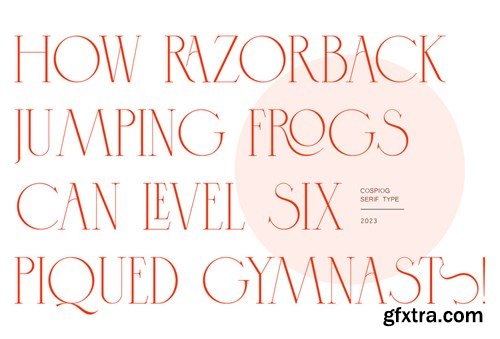 Cospiog - Modern Serif Type QT3QANT