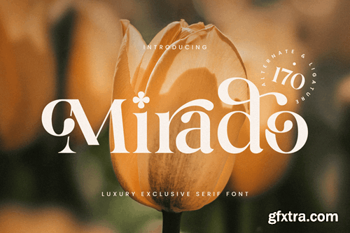 Mirado - Luxury Exclusive Serif Font U8TZKWK