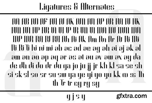 Hispanic - Modern Serif Type 8LSSDCM