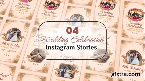 Videohive Wedding Celebration Instagram Stories 54326044