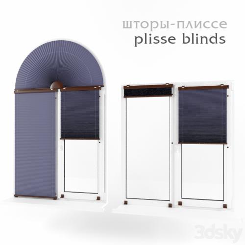 Pleated blinds