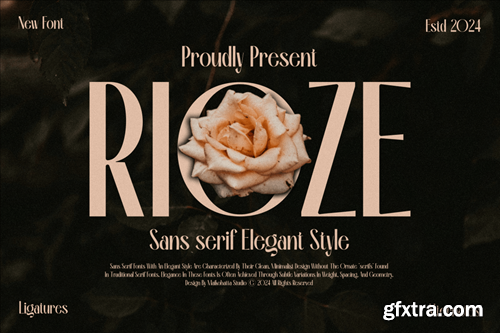 Rioze - Sans serif Elegant Font 4WX6FGD