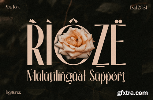 Rioze - Sans serif Elegant Font 4WX6FGD