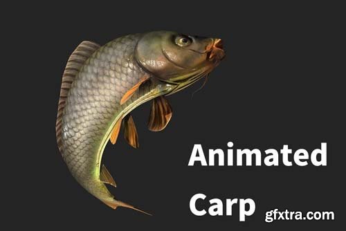 CgTrader - animated carp fish VR / AR / low-poly 3d model