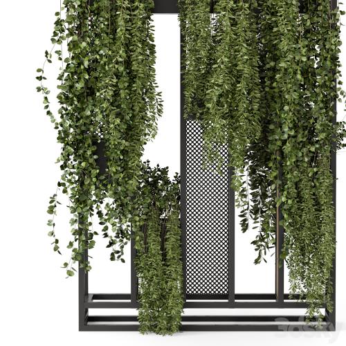 Indoor Hanging Plants in Metal Stand - Set 1005