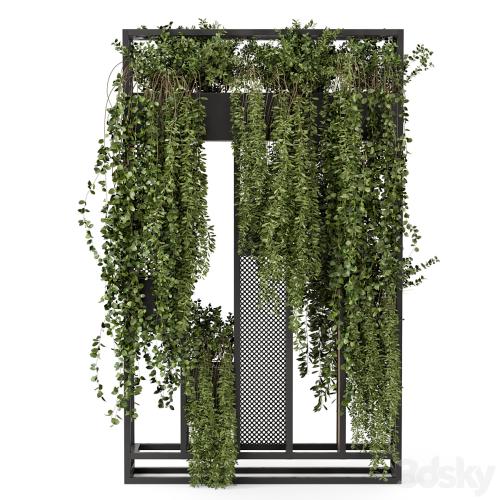 Indoor Hanging Plants in Metal Stand - Set 1005