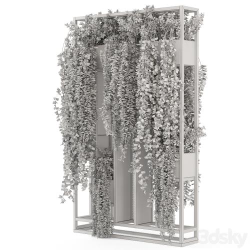 Indoor Hanging Plants in Metal Stand - Set 1005