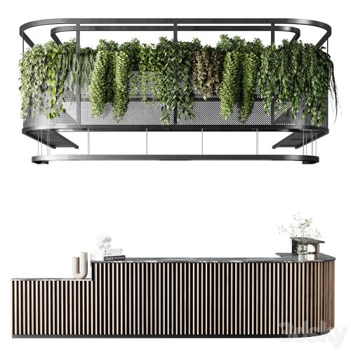 Coffee shop reception, Restaurant counter by hanging plant - 03