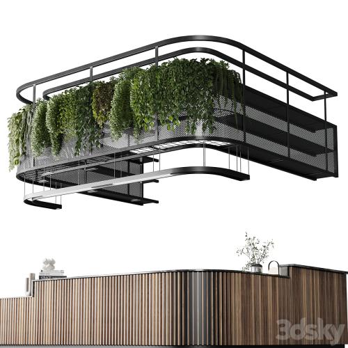 Coffee shop reception, Restaurant counter by hanging plant - 03