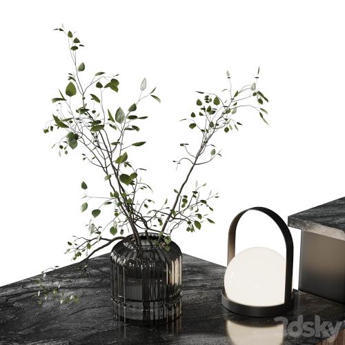 Coffee shop reception, Restaurant counter by hanging plant - 03