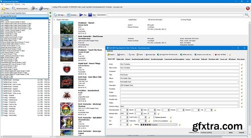 3delite Professional Tag Editor 1.0.188.202