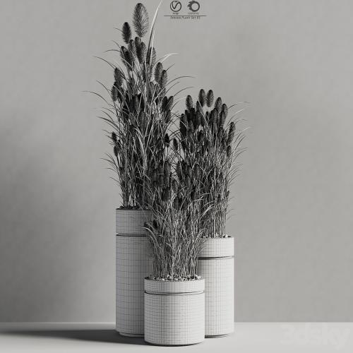 Indoor_Plant_Set_81