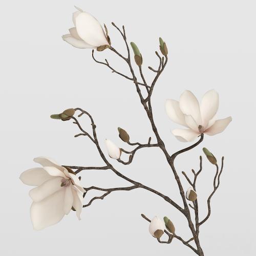 H&M vases with magnolia branch