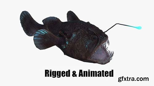 CgTrader - Angler Fish monkfish 3D model