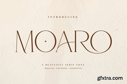 Moaro Beautiful Serif Font EB95EBF