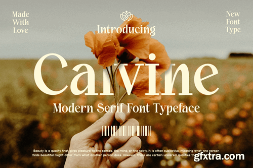 Calvine - Modern Serif Font Typeface RBFRDFD