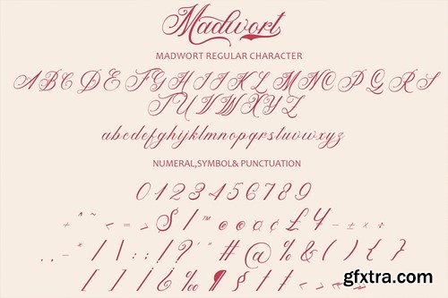 Madwort - Elegant Script Font JP99ZKY