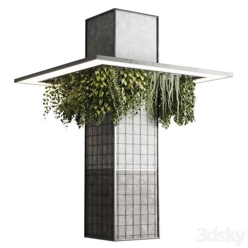 Column plant - pillar plant 05