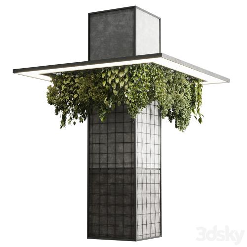 Column plant - pillar plant 05