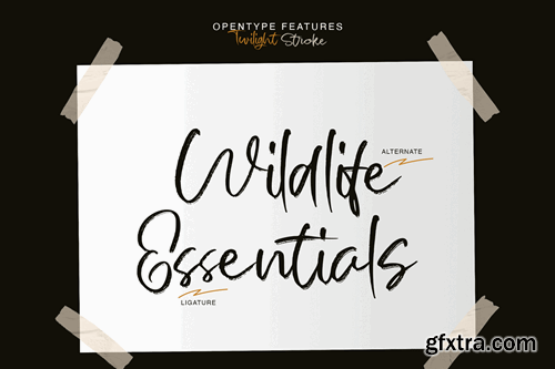 Twilight stroke | Brush Script Font 22R9LGA