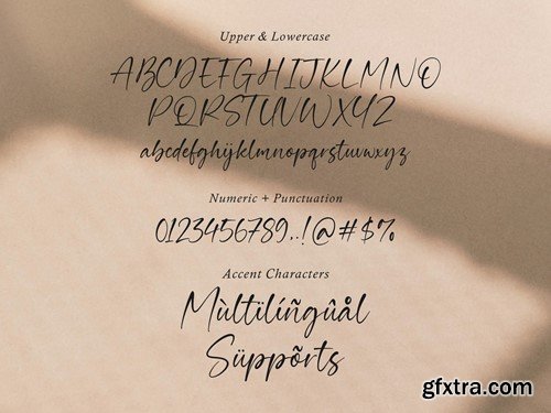 Guardian Script Font BV7XYSZ