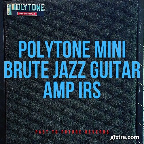 PastToFutureReverbs Polytone Mini Brute Jazz Guitar Amp IRs