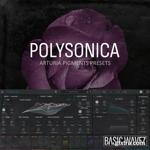 Basic Wavez Polysonica Arturia Pigments Presets For Melodic House And Techno