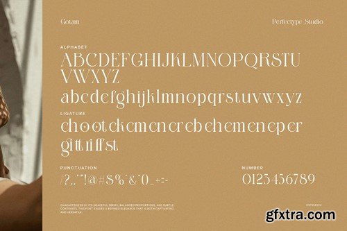 Gotham Elegant Serif Font 6Z5M3BC