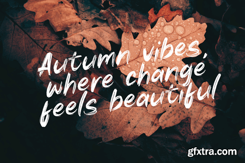 Autumn Brush Font 9STCWKL