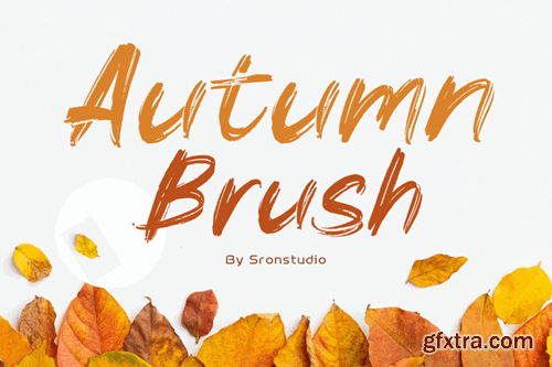 Autumn Brush Font 9STCWKL