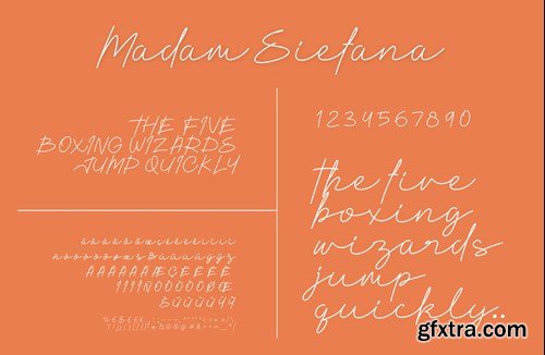 Madam Siefana Font QA74RYS