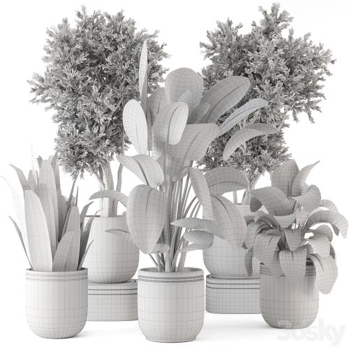 Indoor Plants in rusty Concrete Pot - Set 921