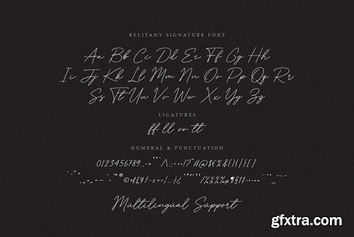 Belitany Signature Script Font RLD6QFQ