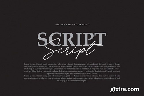 Belitany Signature Script Font RLD6QFQ